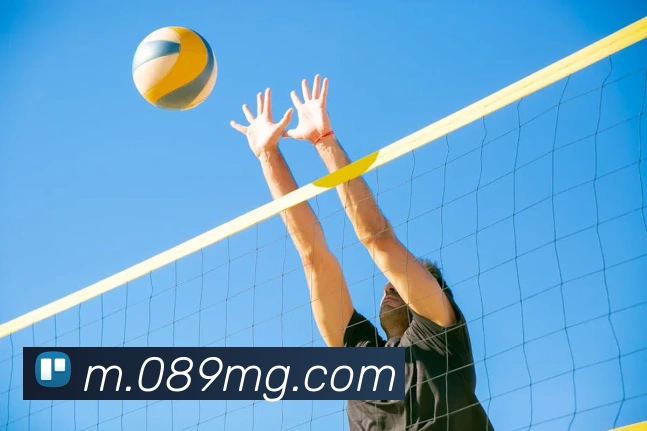 MG娱乐平台官网发展历程